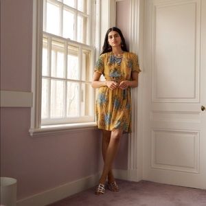 Madewell sweetgrass ruffle-sleeve dress size 2